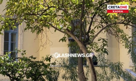 Ανακριτής Χανιά συνεργάτιδα